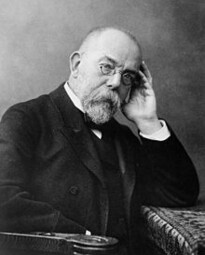 Vorschaubild Robert Koch (1843 - 1910)